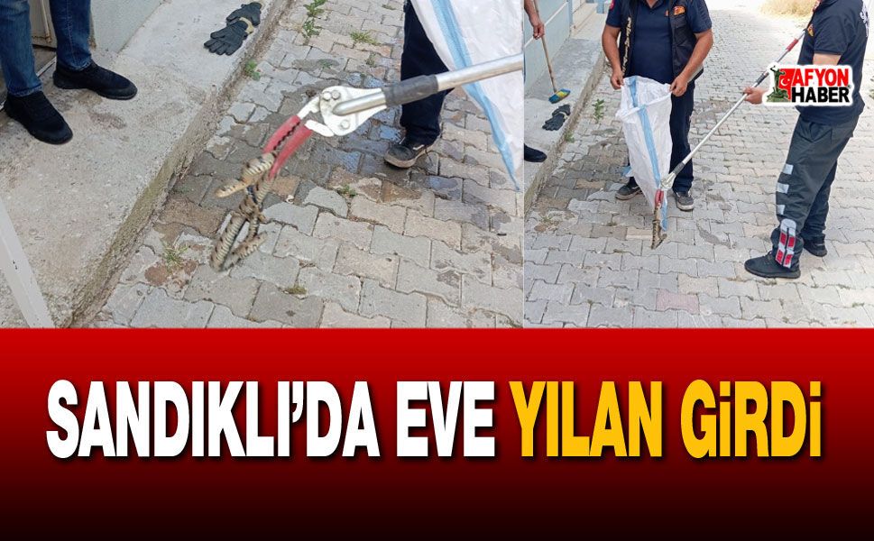 Sandıklı’da Yılan Paniği