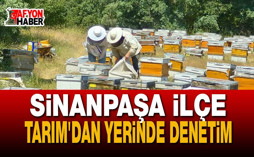 Sinanpaşa’da Arılı Kovan Tespit ve Güncelleme Çalışmaları Başladı