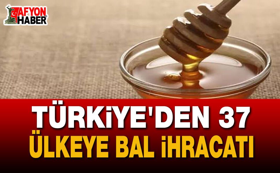 Türk Balına Uluslararası İlgi: İhracatta ABD ve Avrupa Zirvede