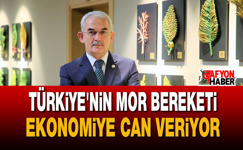 Lavanta İhracatından 5 Yılda 765 Bin Dolar Döviz