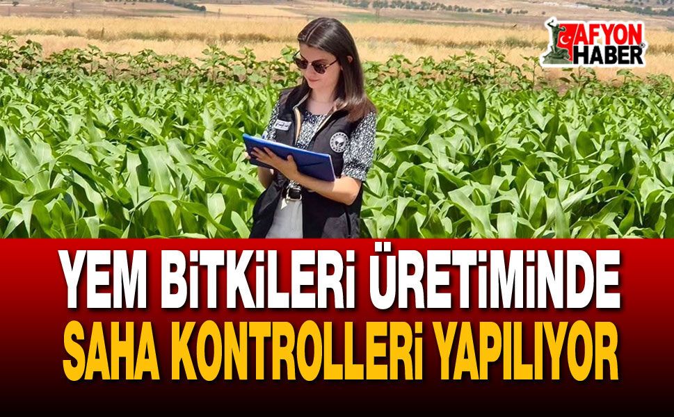 Yem Bitkileri Üretiminde Saha Kontrolleri Yapılıyor