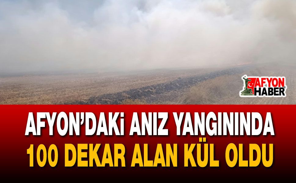 Afyon’daki anız yangınında 100 dekar alan kül oldu