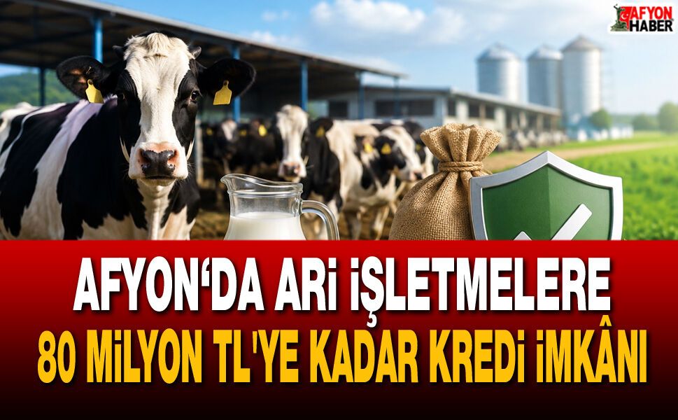 Afyon’da ari işletmelere 80 milyon TL’ye kadar kredi imkânı