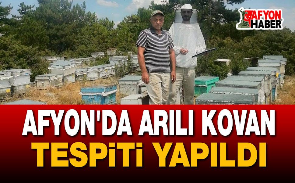 Afyon'da arılı kovan tespiti yapıldı