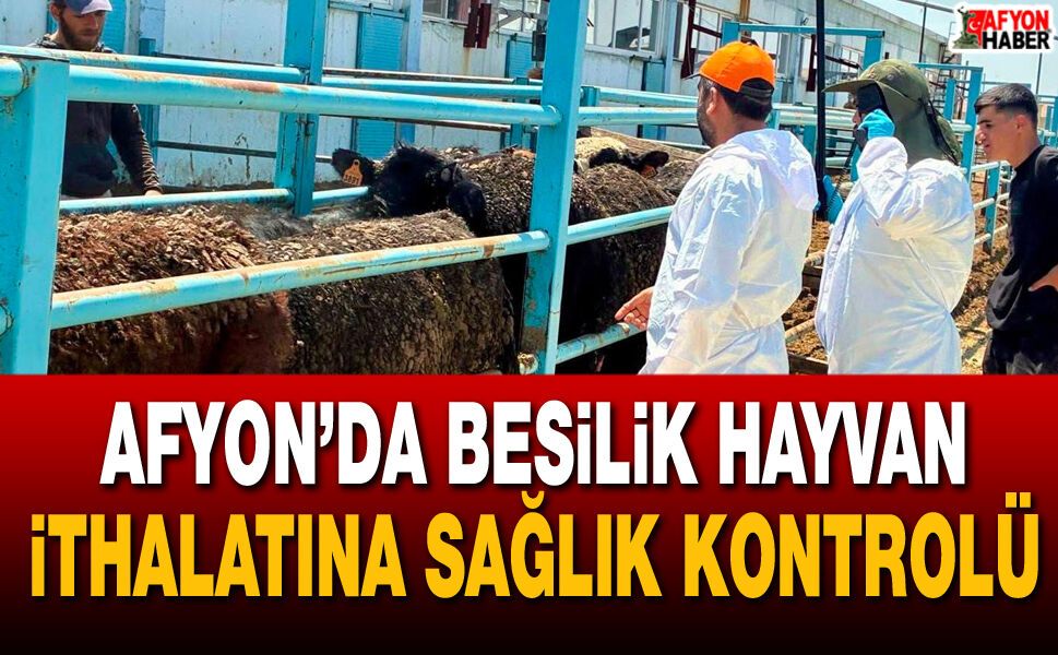Afyon’da besilik hayvan ithalatına sağlık kontrolü
