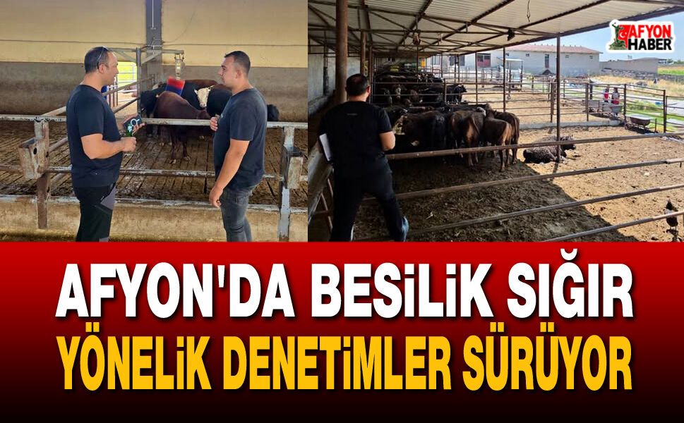 Afyon’da besilik sığır yönelik denetimler sürüyor