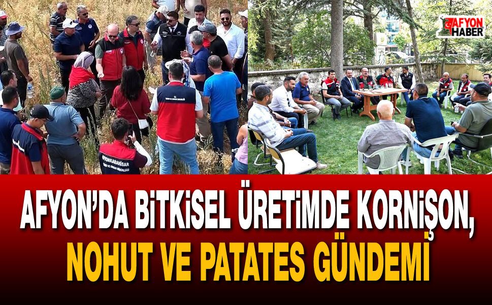 Afyon’da bitkisel üretimde kornişon, nohut ve patates gündemi