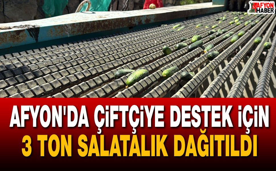 Afyon'da çiftçiye destek için 3 ton salatalık dağıtıldı