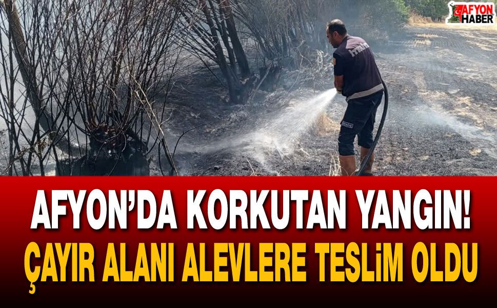 Afyon’da korkutan yangın! Çayır alanı alevlere teslim oldu