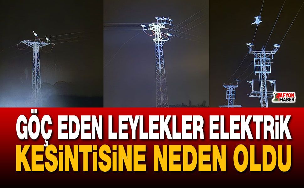 Afyon’da leylek göçü elektrikleri kesti