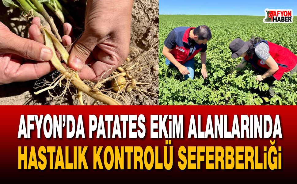 Afyon’da patates ekim alanlarında hastalık kontrolü seferberliği