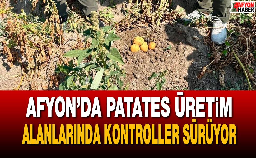 Afyon’da patates üretim alanlarında kontroller sürüyor