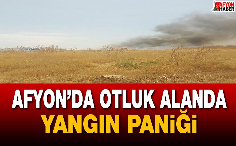 Afyon’da otluk alanda yangın paniği