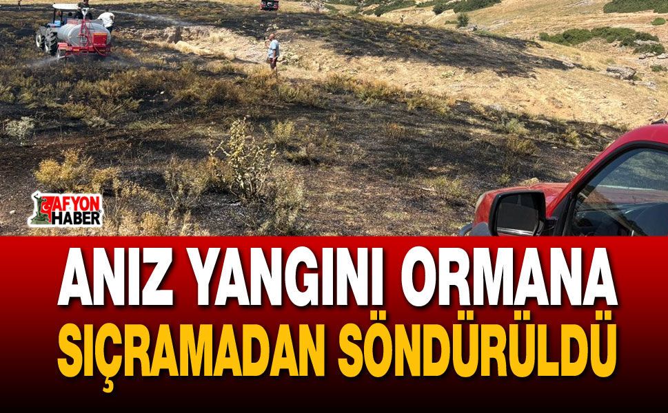 Anız yangını ormana sıçramadan söndürüldü