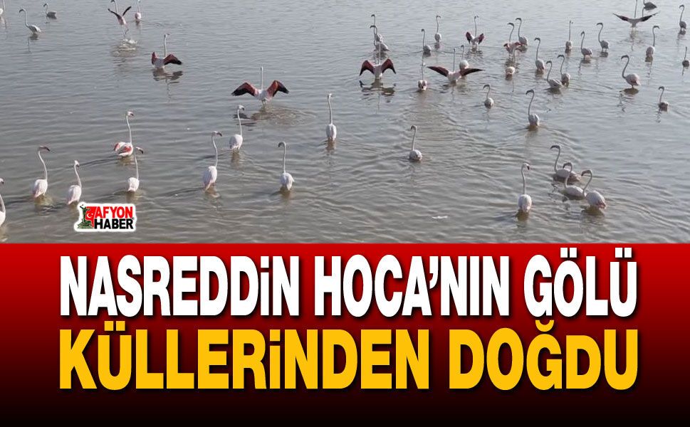 Nasreddin Hoca’nın gölü küllerinden doğdu