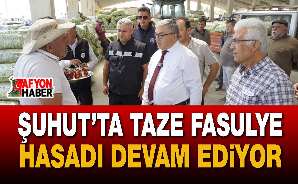 Afyon Şuhut'ta taze fasulye hasadı devam ediyor
