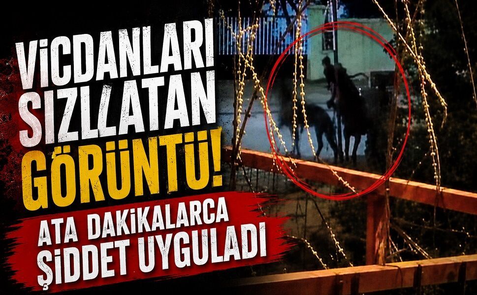 Vicdanları sızlatan görüntü! Ata dakikalarca şiddet uyguladı