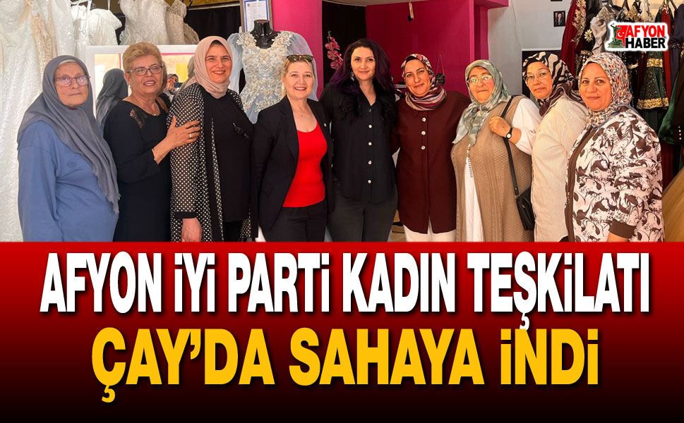 Afyon İYİ Parti Kadın Teşkilatı Çay’da sahaya indi