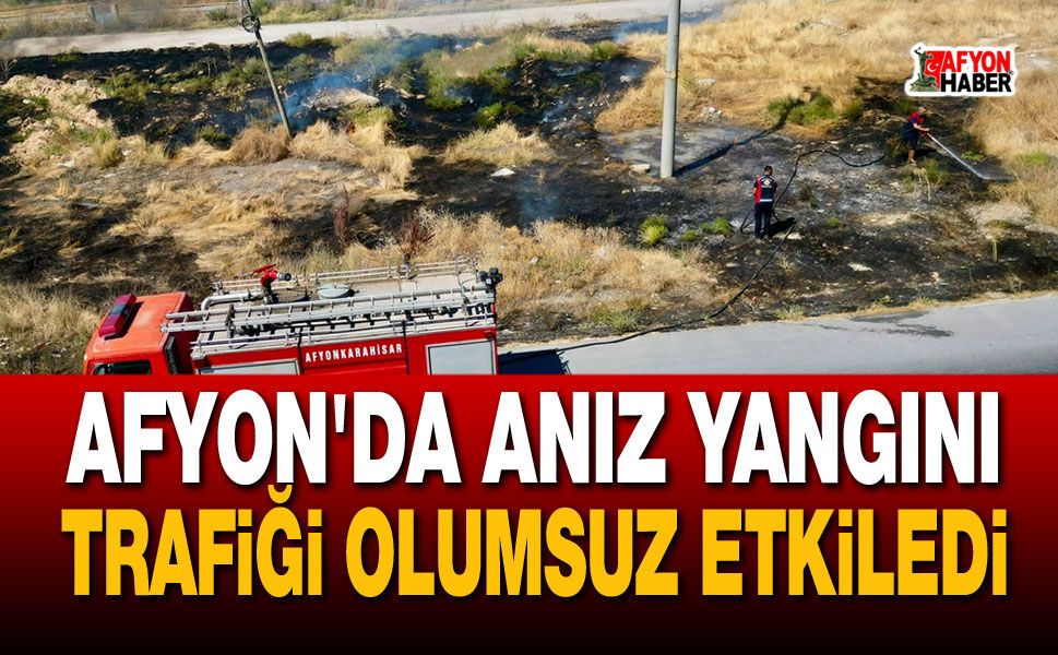 Afyon'da anız yangını trafiği olumsuz etkiledi