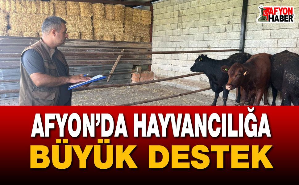 Afyon’da hayvancılığa büyük destek