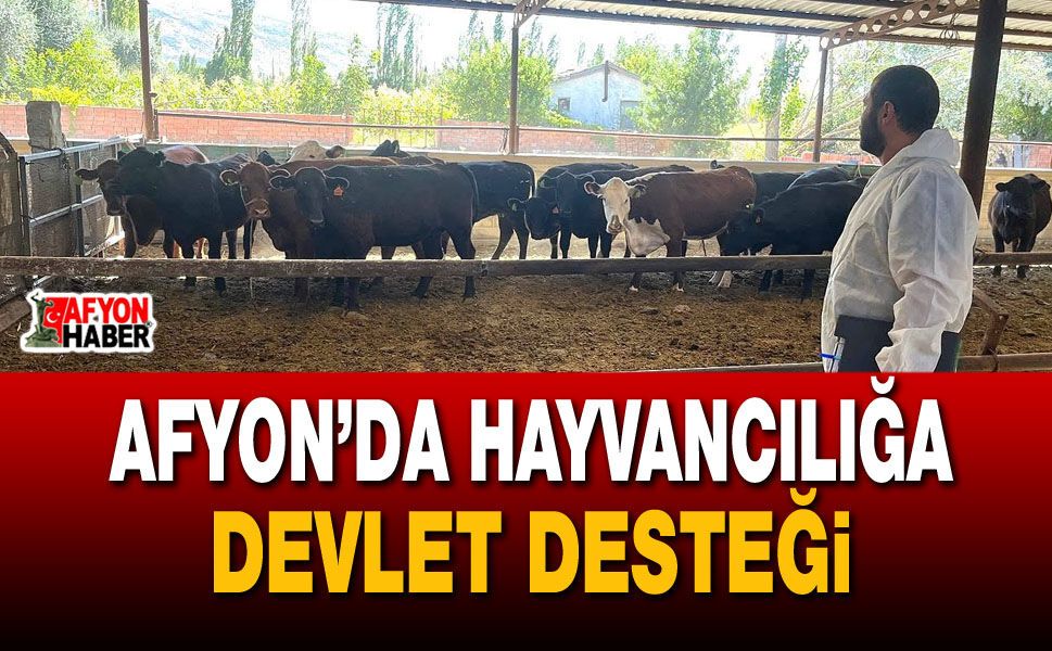 Afyon’da hayvancılığa devlet desteği