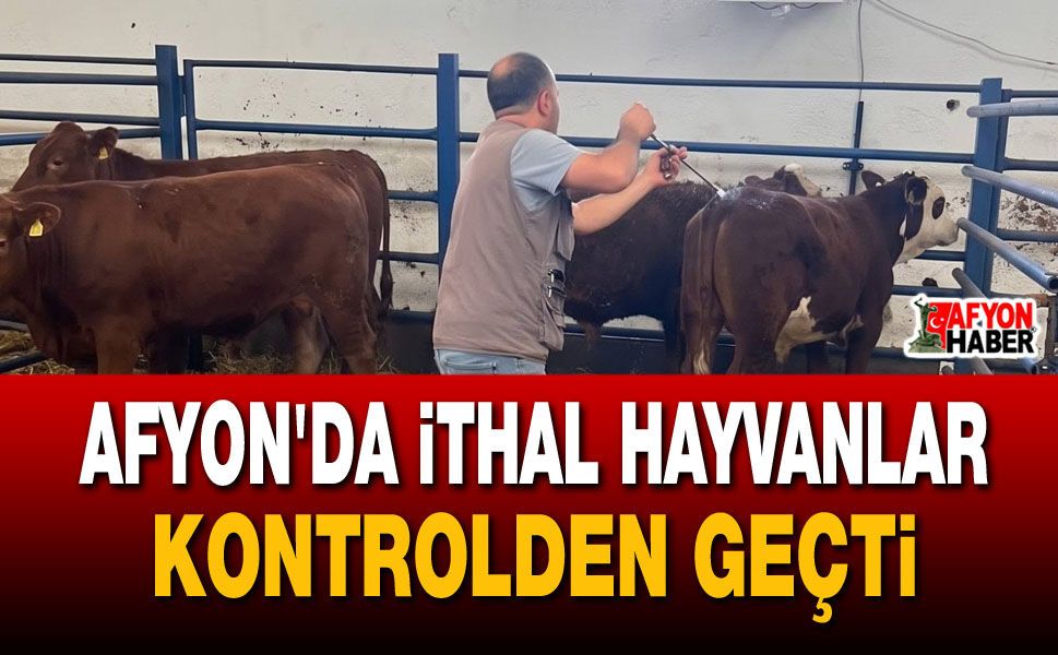 Afyon’da ithal hayvanlar kontrolden geçti
