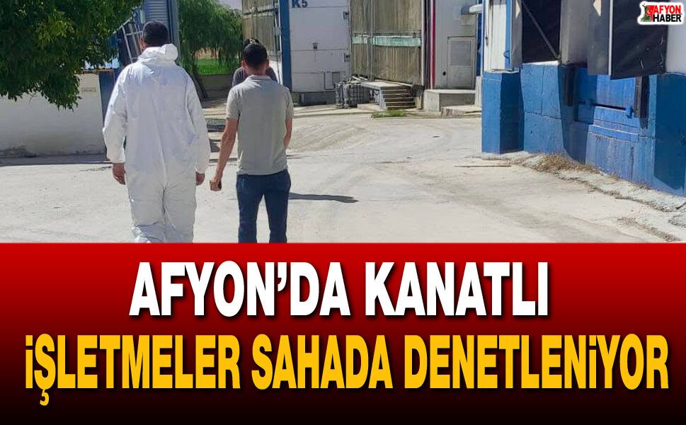 Afyon’da kanatlı işletmeler sahada denetleniyor