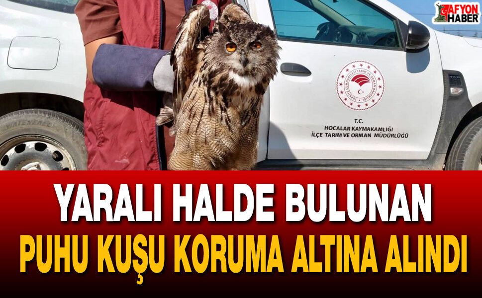 Afyon’da yaralı halde bulunan Puhu Kuşu koruma altına alındı