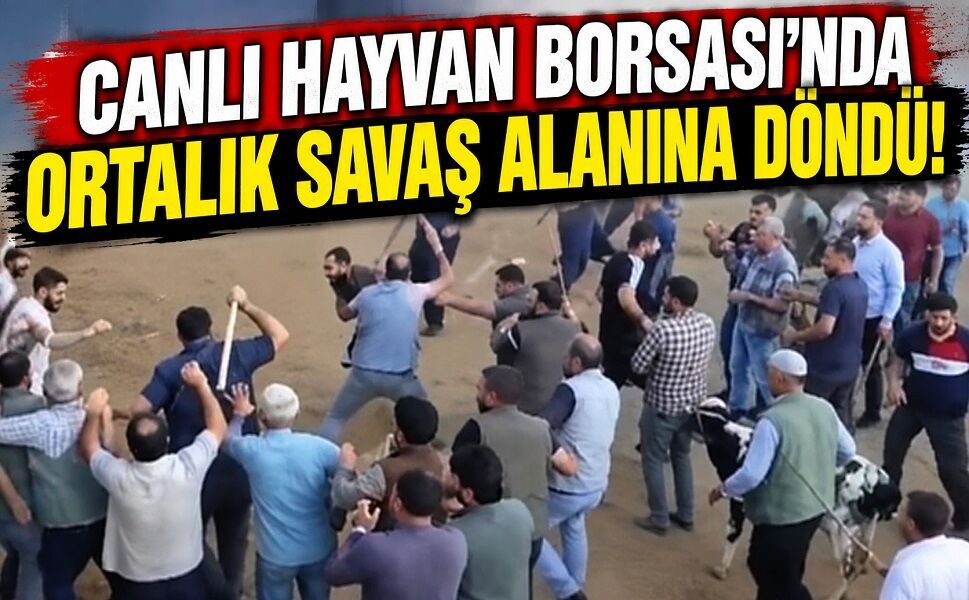 Canlı Hayvan Borsası’nda ortalık savaş alanına döndü!
