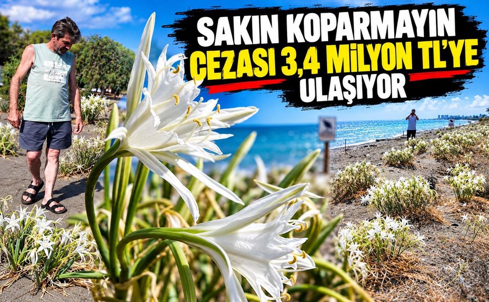 Sakın koparmayın cezası 3,4 milyon TL'ye ulaşıyor