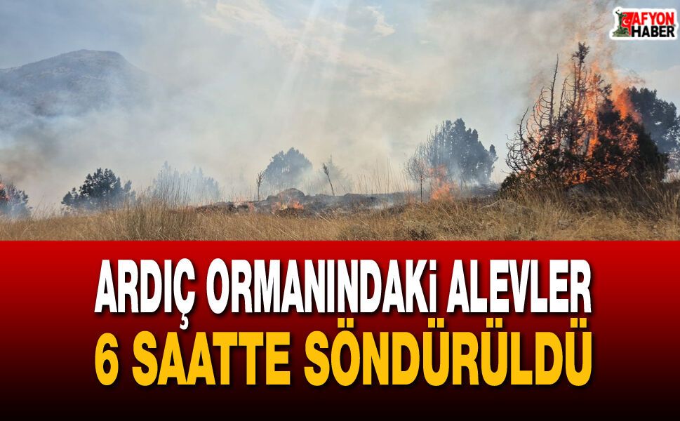 Isparta’da orman yangını!