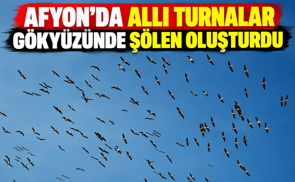 Afyon'da Allı Turnalar Gökyüzünde Şölen Oluşturdu