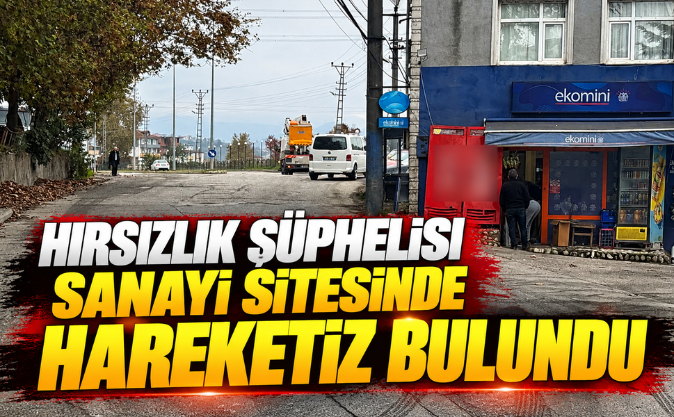 Hırsızlık şüphelisi sanayi sitesinde hareketiz bulundu