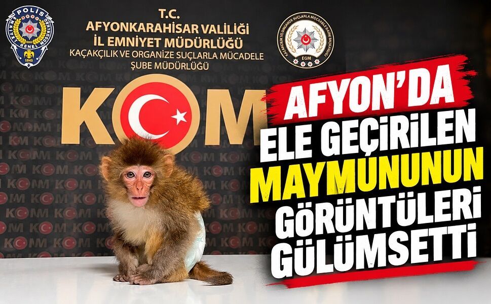 Afyon’da ele geçirilen maymunun görüntüleri gülümsetti