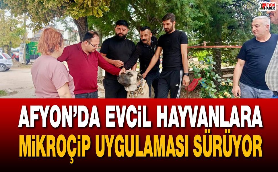 Afyon’da evcil hayvanlara mikroçip uygulaması sürüyor