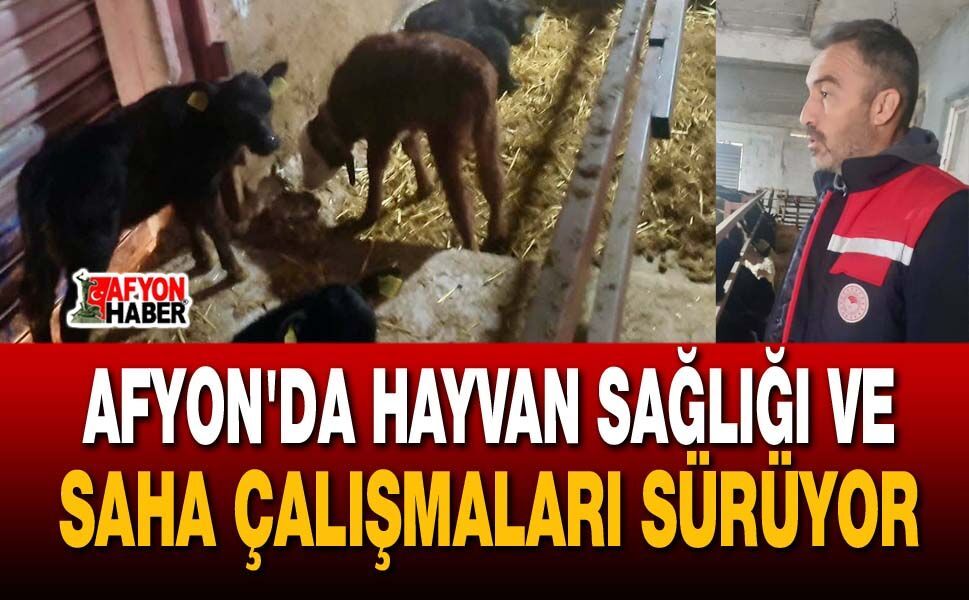 Afyon'da hayvan sağlığı ve saha çalışmaları sürüyor