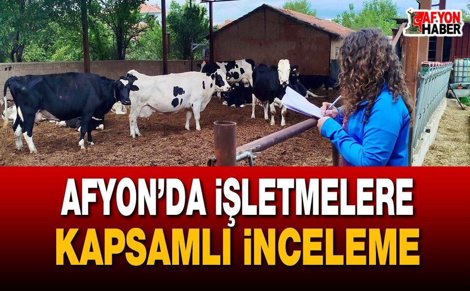 Afyonkarahisar’da işletmelere kapsamlı inceleme