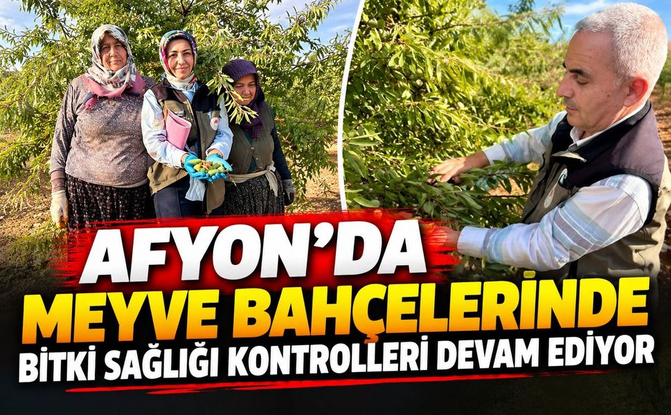 Afyon’da meyve bahçelerinde bitki sağlığı kontrolleri devam ediyor