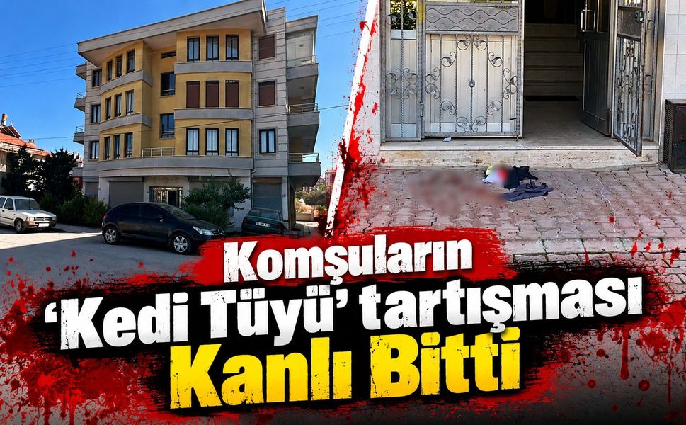 Komşuların 'kedi tüyü' tartışması kanlı bitti