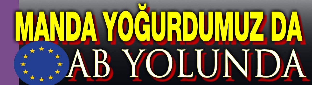 Afyonkarahisar Manda Yoğurdu, AB yolunda